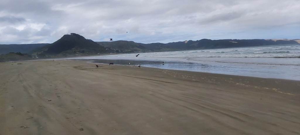 Te Araroa: Day&nbsp;4