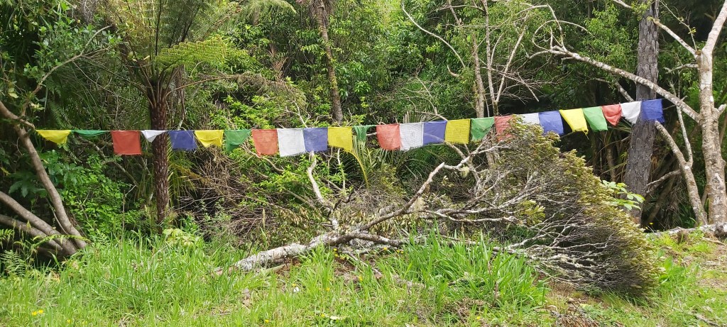 Te Araroa: Day&nbsp;6