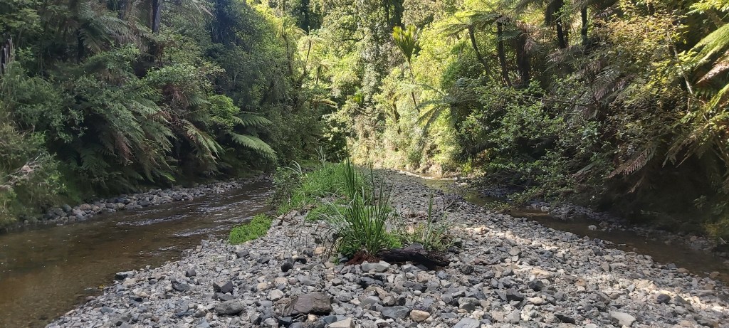 Te Araroa: Day&nbsp;8