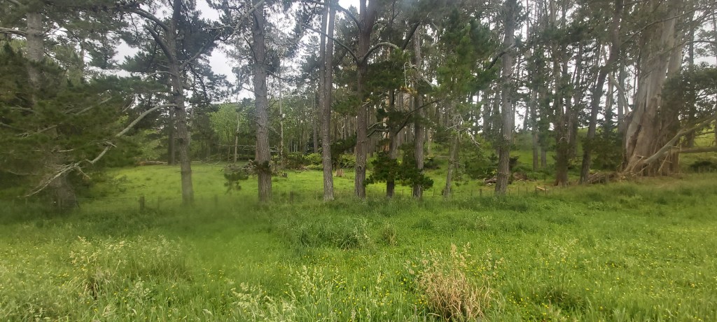 Te Araroa: Day&nbsp;35