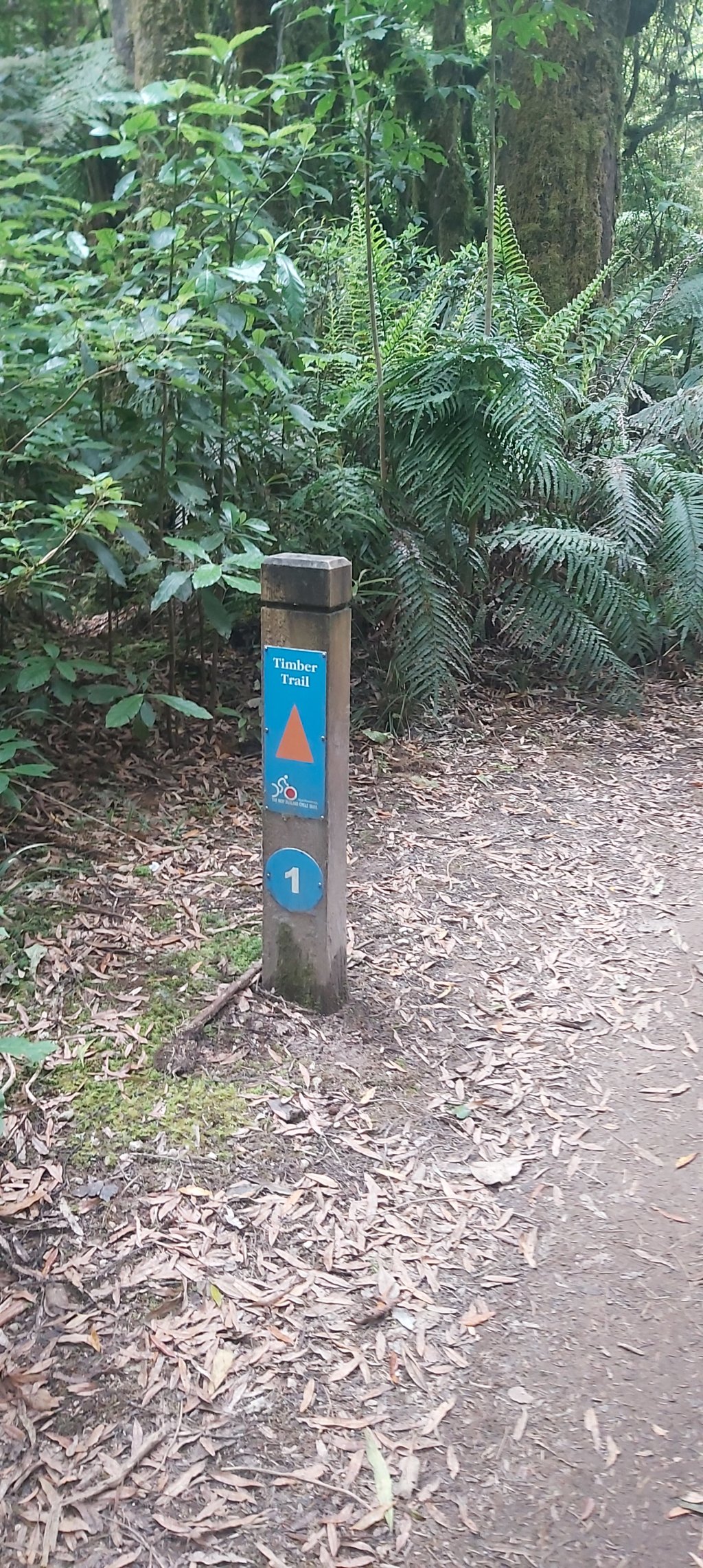 Te Araroa: Day&nbsp;42