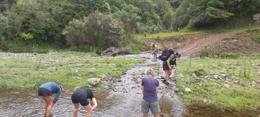 Te Araroa: Day&nbsp;62