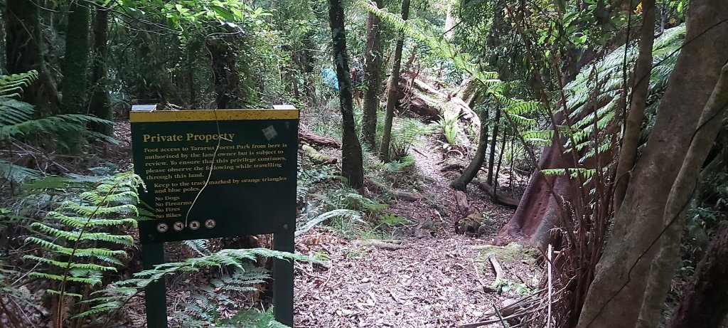 Te Araroa: Day&nbsp;66