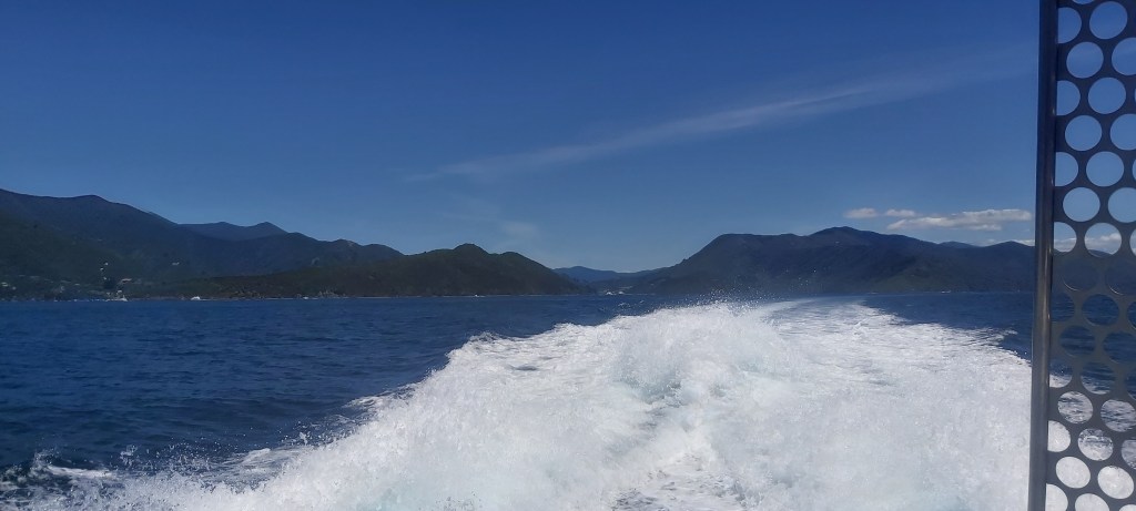 Te Araroa: Day&nbsp;70