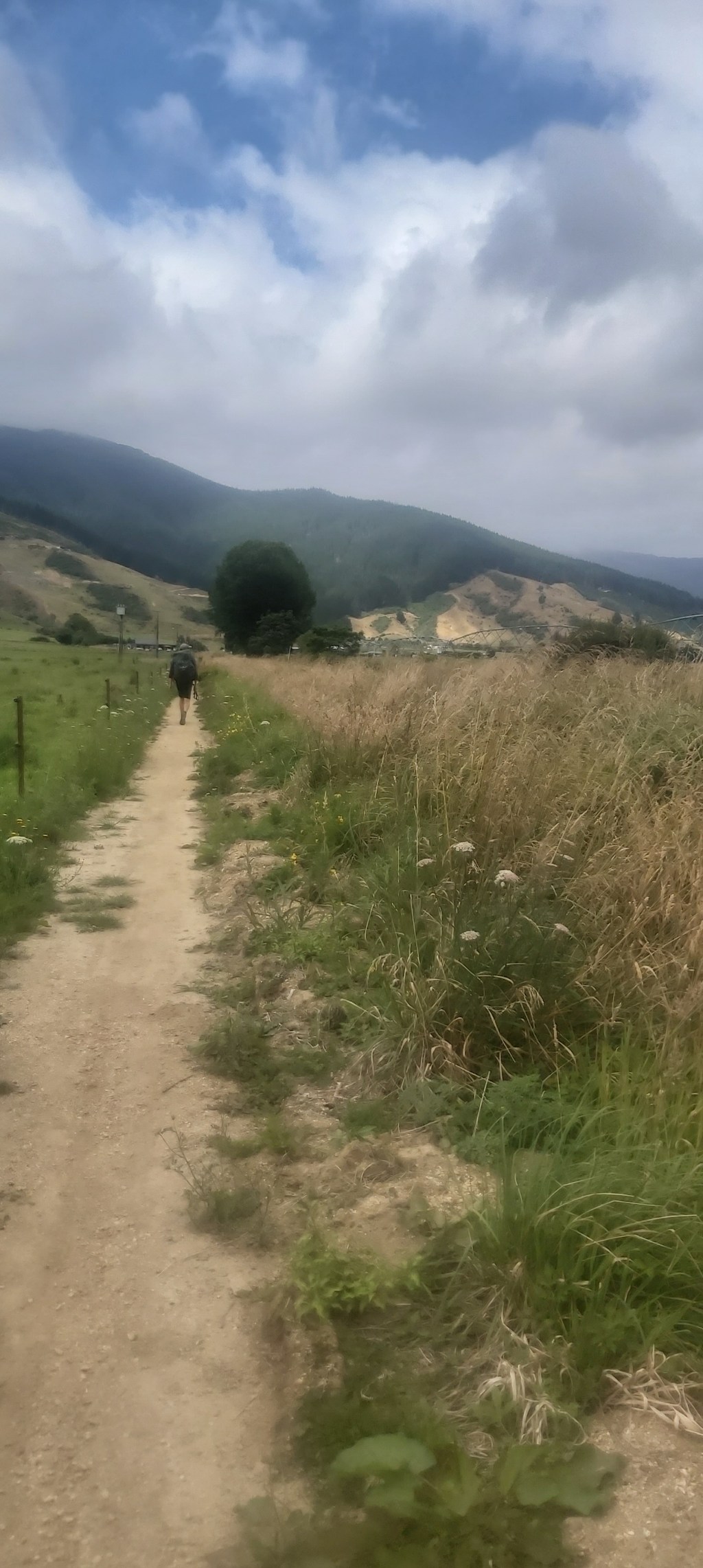 Te Araroa: Day&nbsp;73