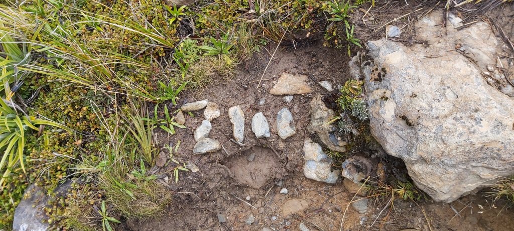 Te Araroa: Day&nbsp;83