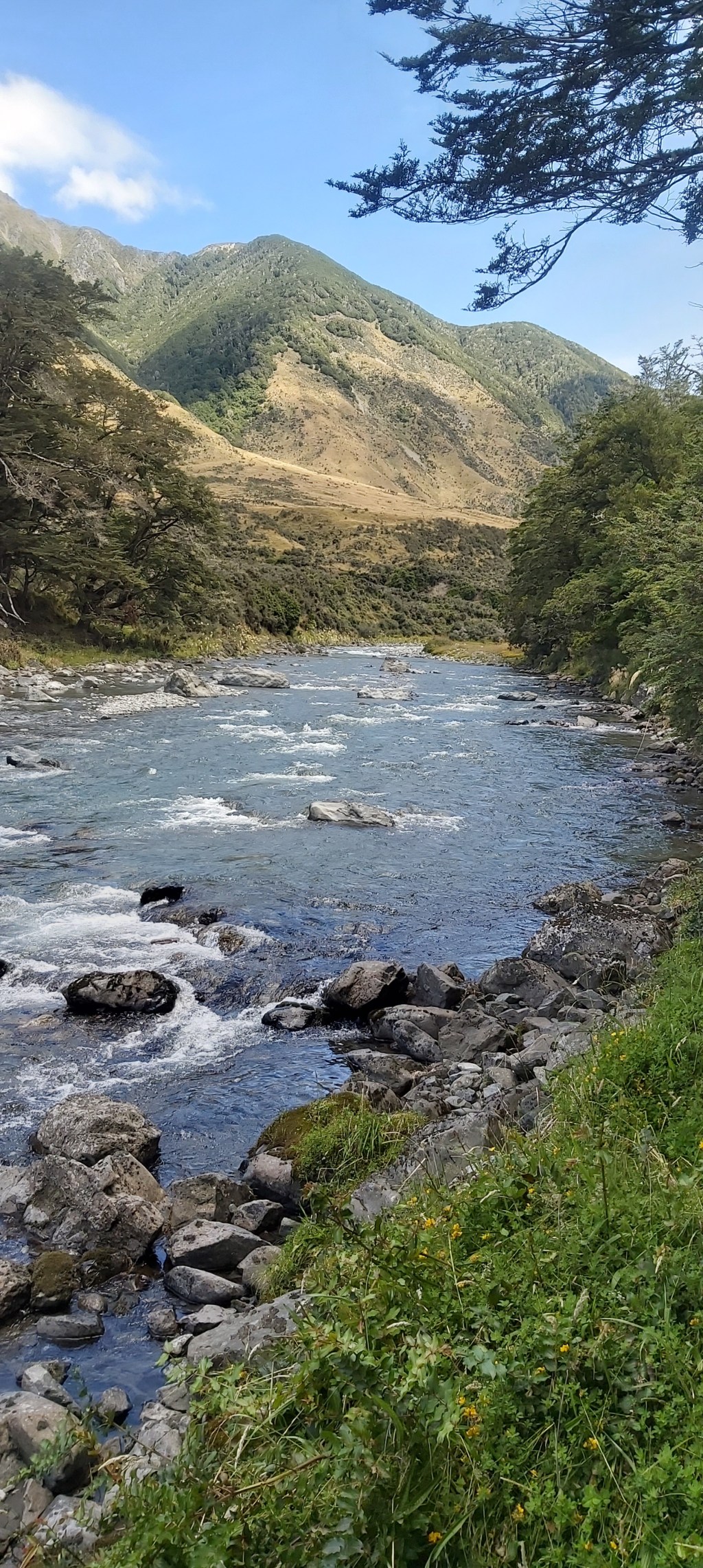 Te Araroa: Day&nbsp;89