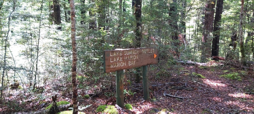 Te Araroa: Day&nbsp;90