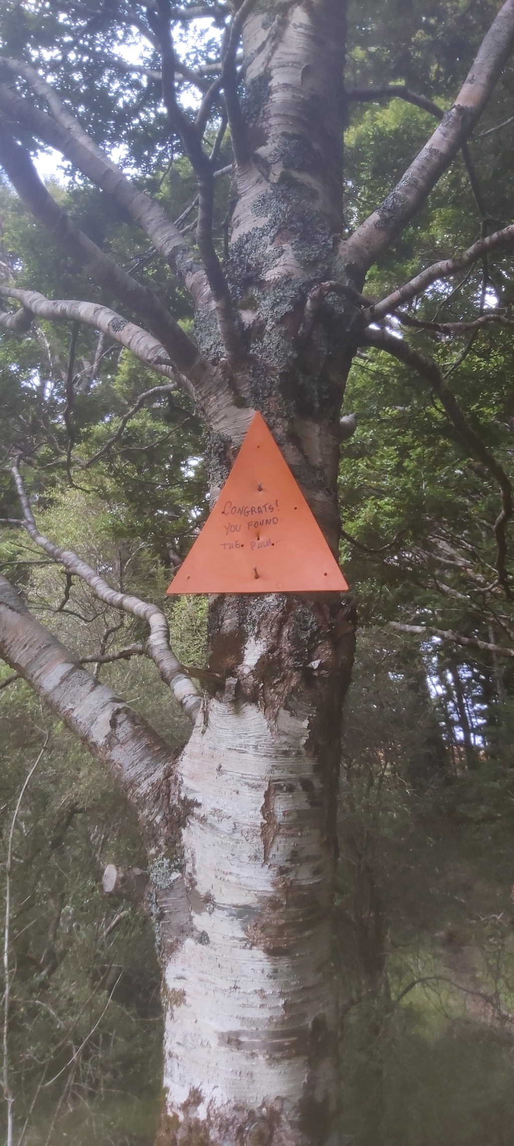 Te Araroa: Day&nbsp;119