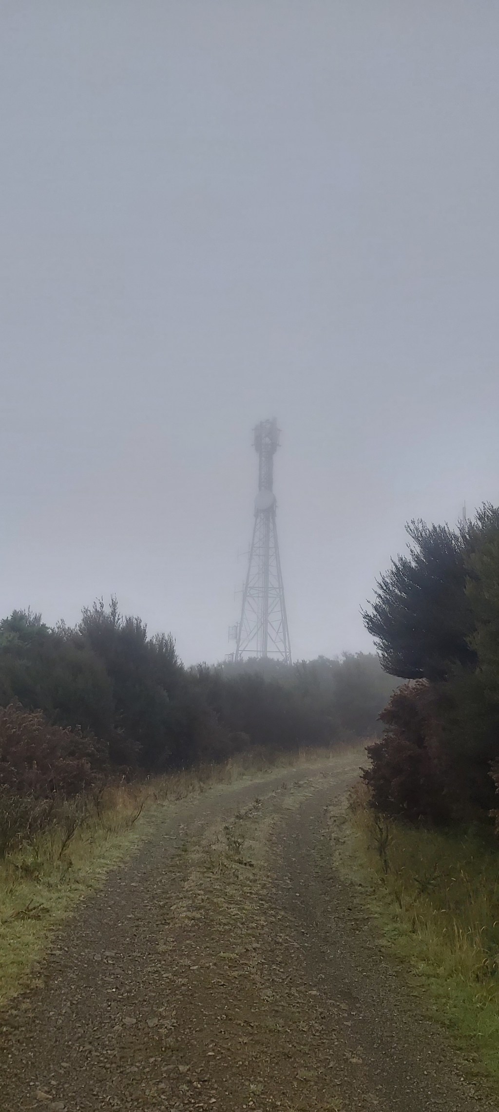 Te Araroa: Days&nbsp;121-122