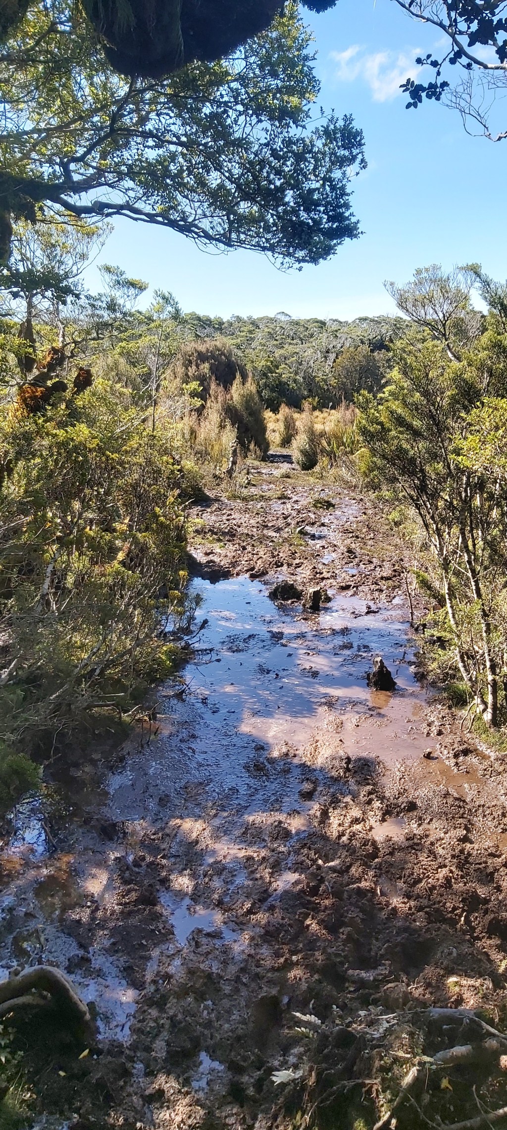 Te Araroa: Day&nbsp;123