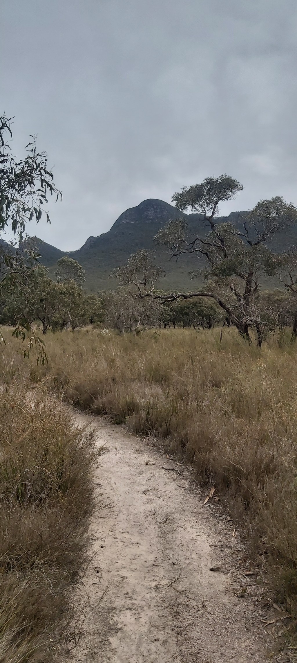 Grampians Peaks Trail: Day&nbsp;6